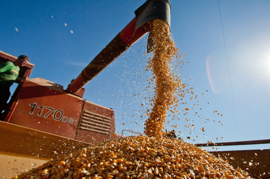 Após seis anos em alta, valor da produção agrícola cai 2,3% em 2023