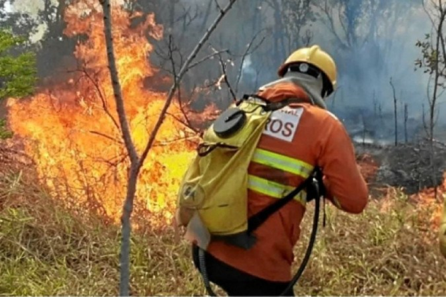 Paraíba tem mais de 516 mil hectares de área queimada